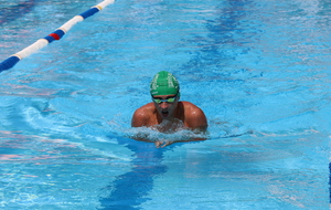 6a7389ed5cafc_IMG2993.JPG