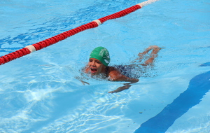6a7389fdbdd44_IMG2999.JPG
