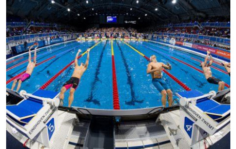 Le règlement de la natation course